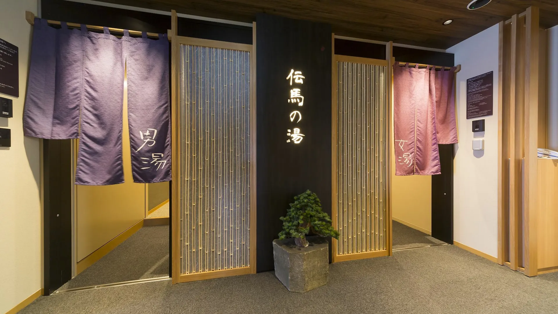 Dormy Inn Premium Tokyo Kodenmacho 3*,